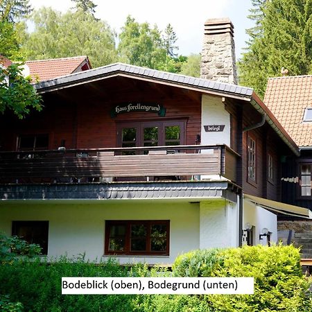 Ferienwohnungen Forellengrund Ширке Экстерьер фото